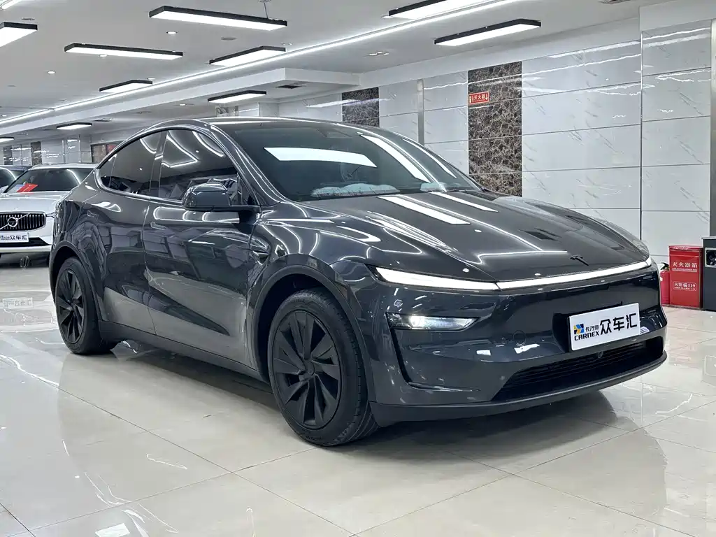 Tesla Model Y — миниатюра 3
