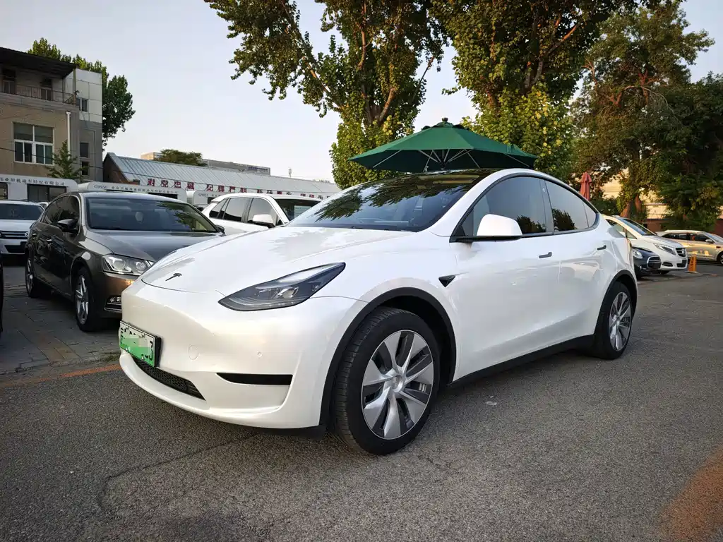 2022 Tesla Model Y - zdjęcie 1 z 16