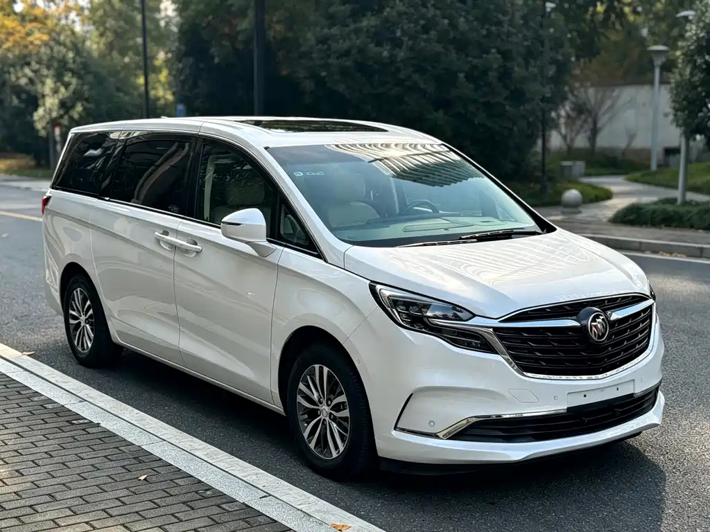 Buick GL8 — миниатюра 2