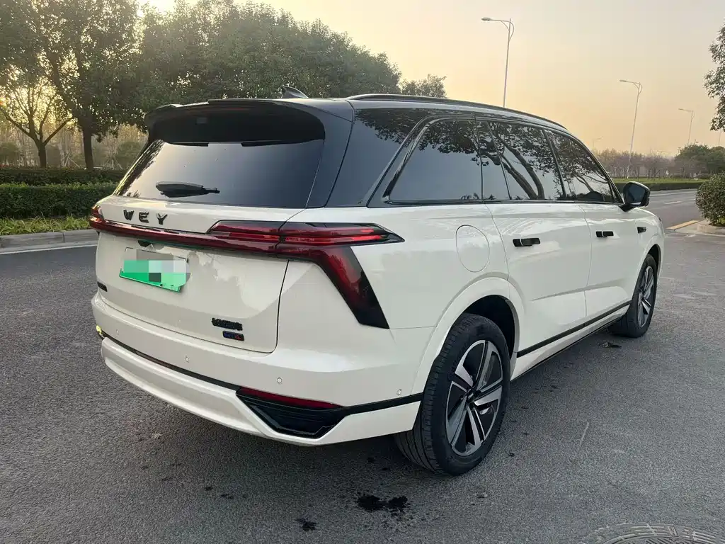 WEI PAI WEI BRAND BLUE MOUNTAIN