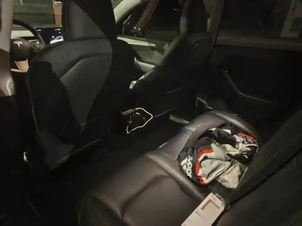 Tesla Model Y — миниатюра 7