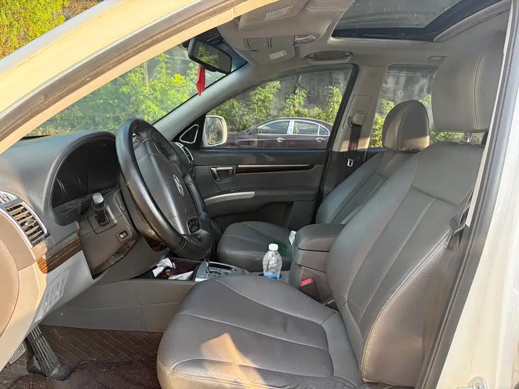 Hyundai Santa Fe (Import) — миниатюра 4