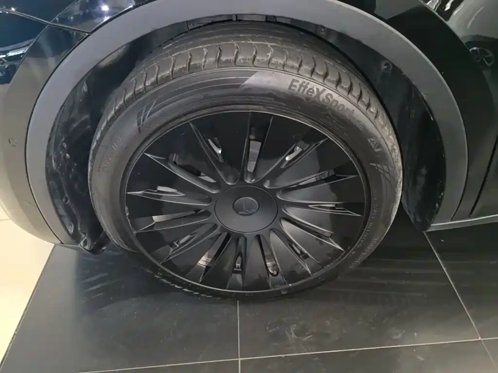 Tesla Model Y — миниатюра 23