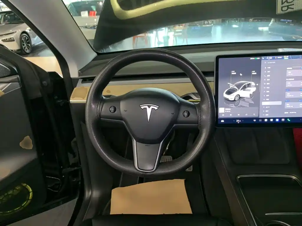 Tesla Model Y — миниатюра 11