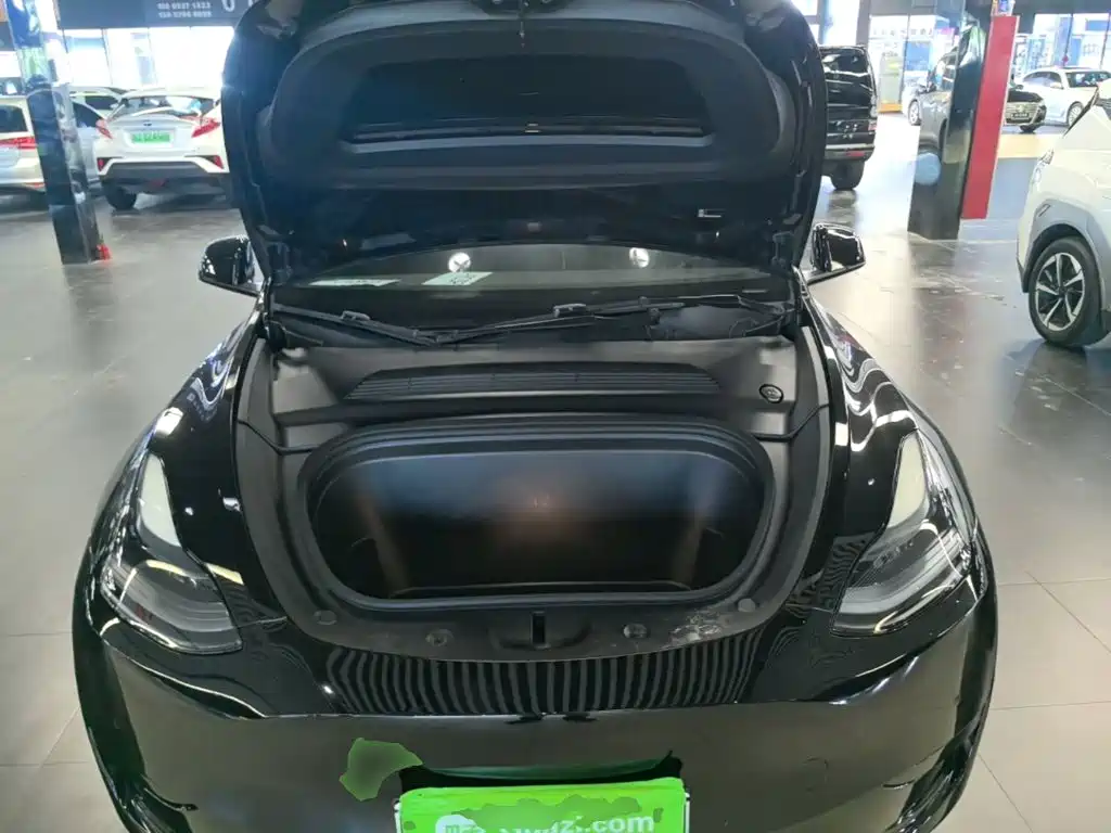 Tesla Model Y — миниатюра 20