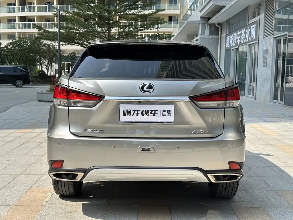 LEXUS  RX