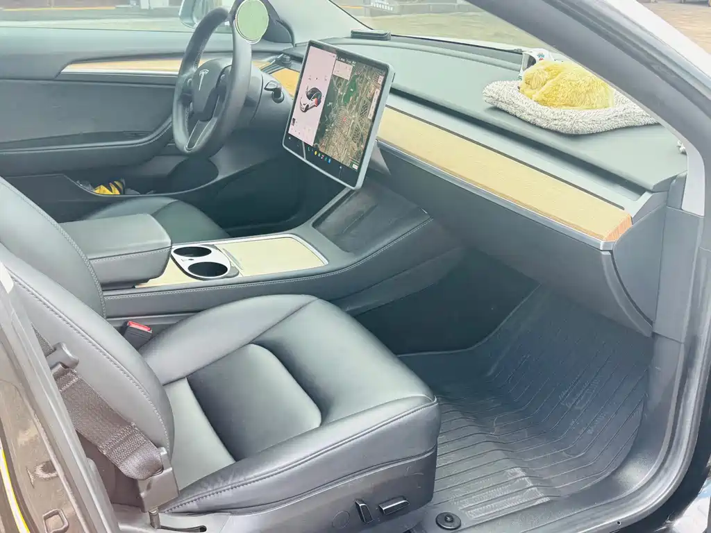 Tesla Model 3 — миниатюра 8