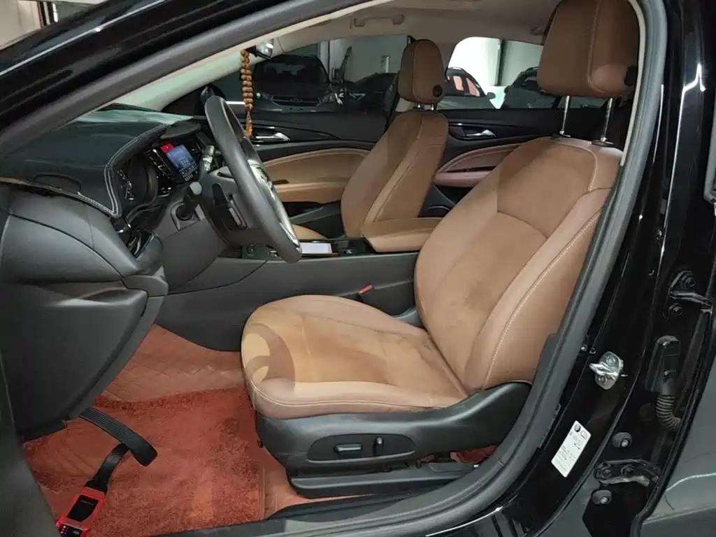 Buick Regal — миниатюра 15