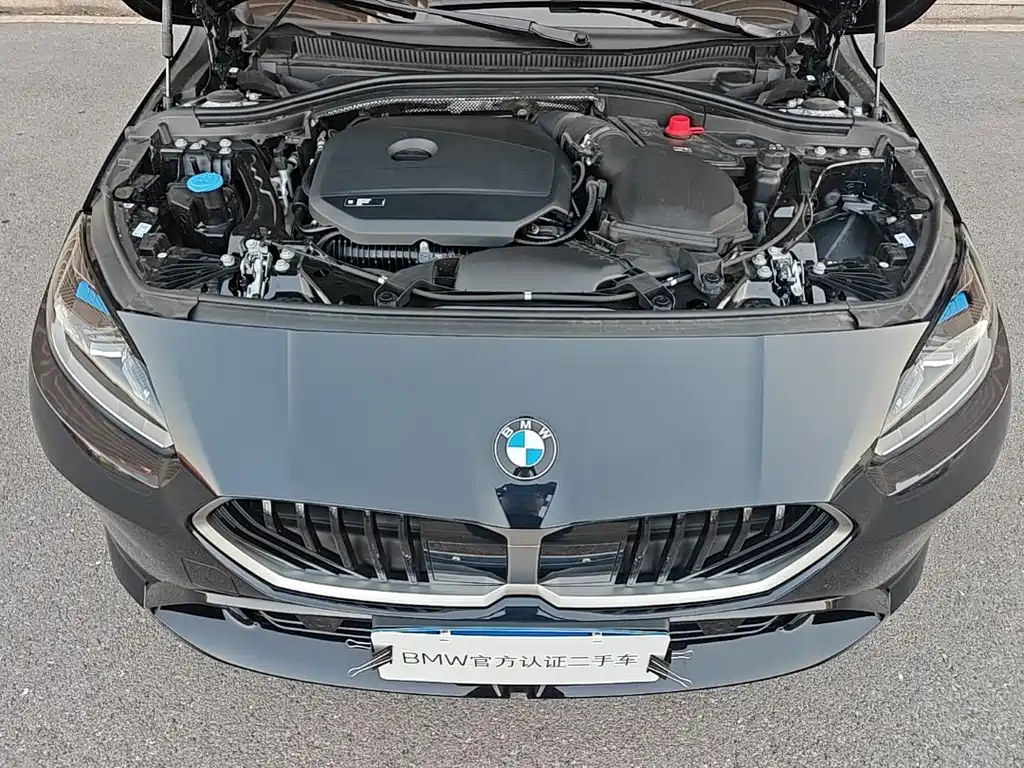 BMW 2 Series — миниатюра 9