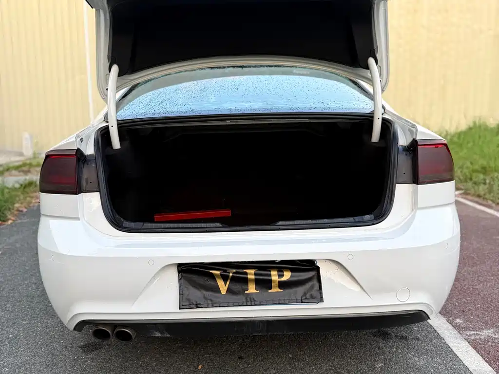 Volkswagen Lamando — миниатюра 11