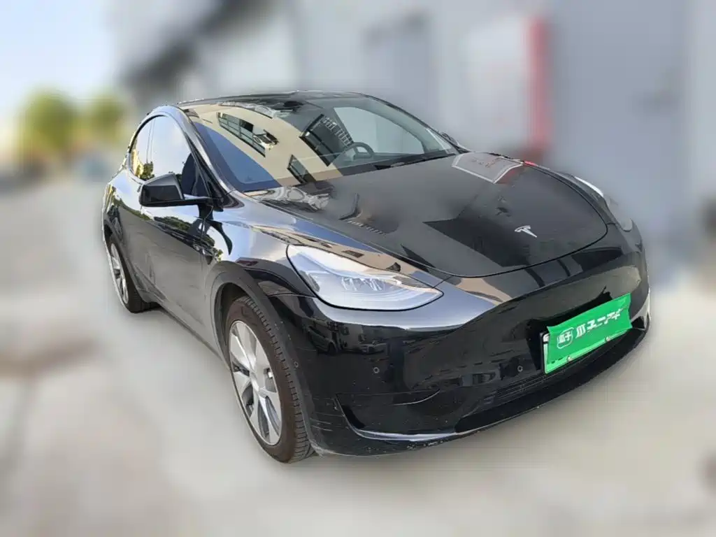 Tesla Model Y — миниатюра 6