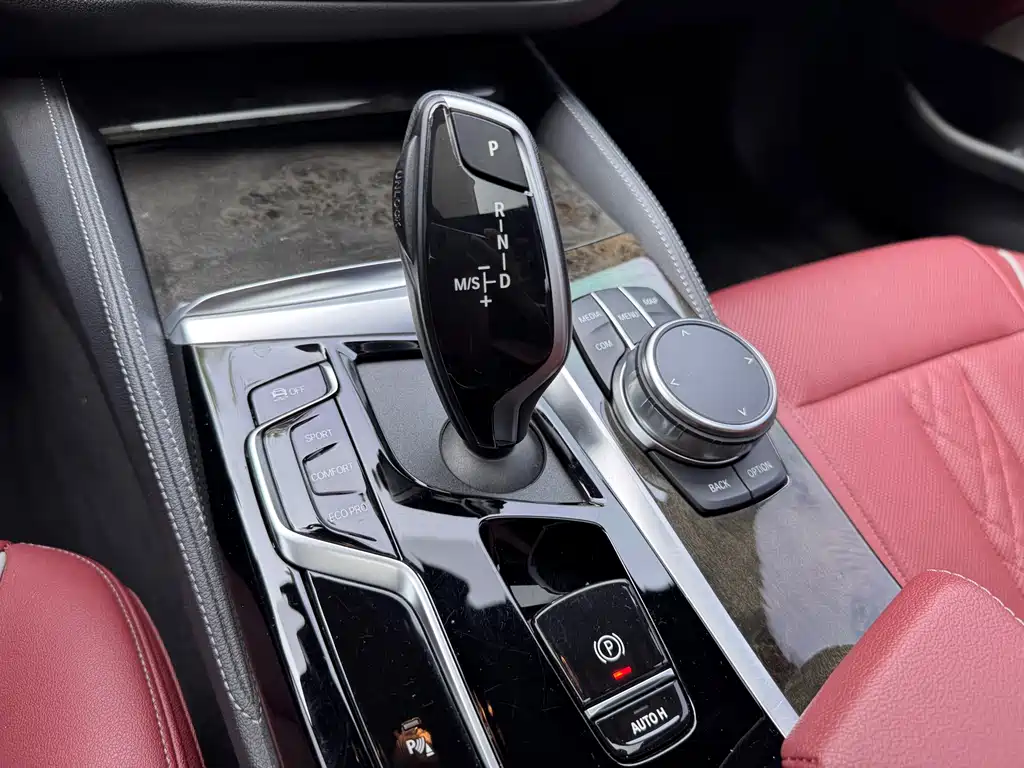 BMW 5 Series 5 2022 525Li M Sport