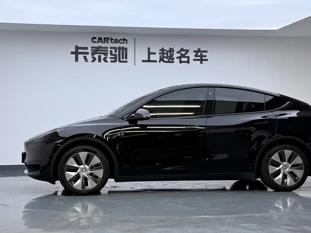 Tesla Model Y — миниатюра 2