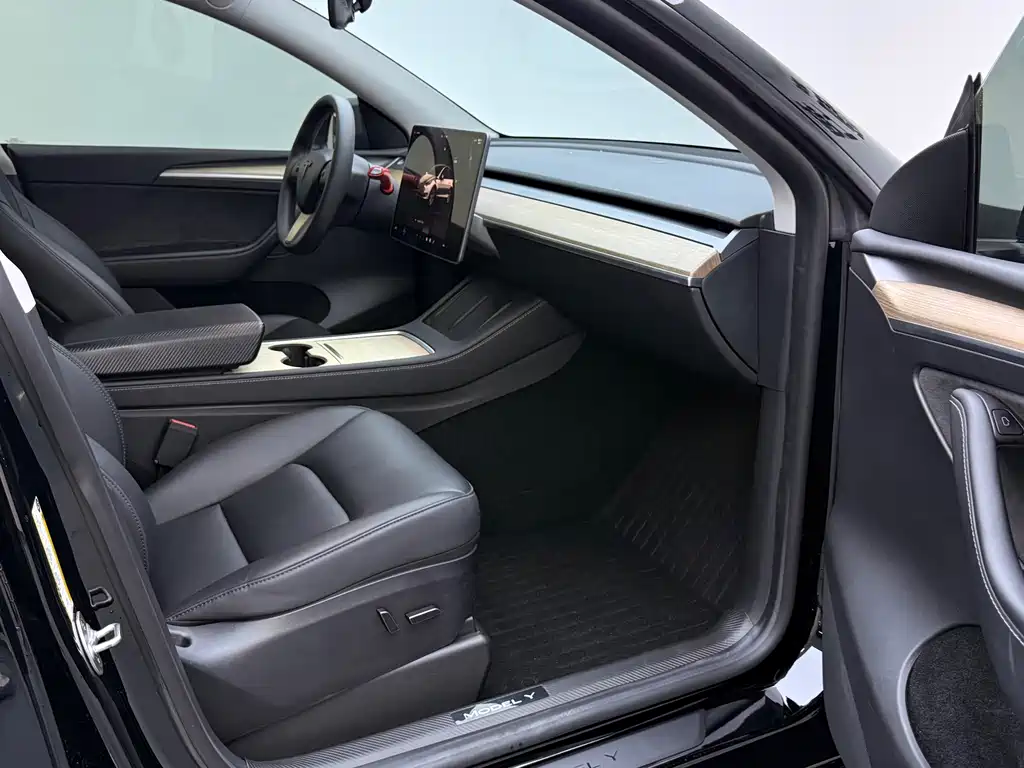 Tesla Model Y — миниатюра 13