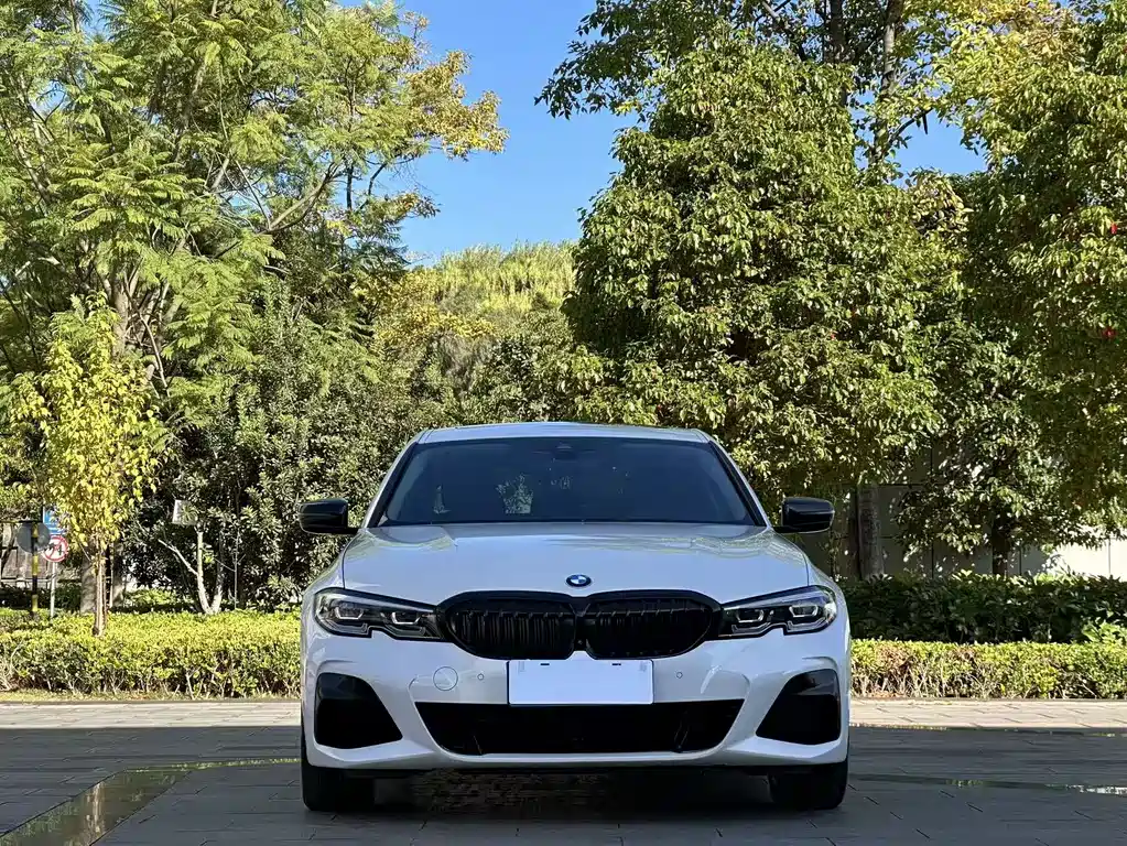 BMW 3 Series — миниатюра 2