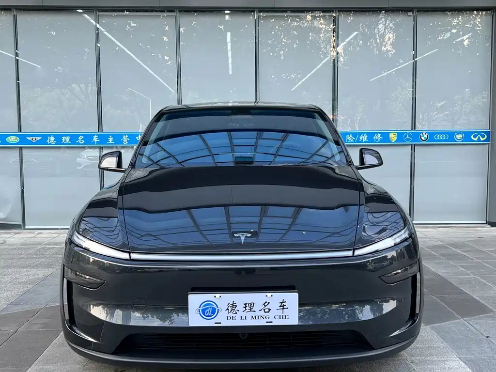 Tesla Model Y — миниатюра 3