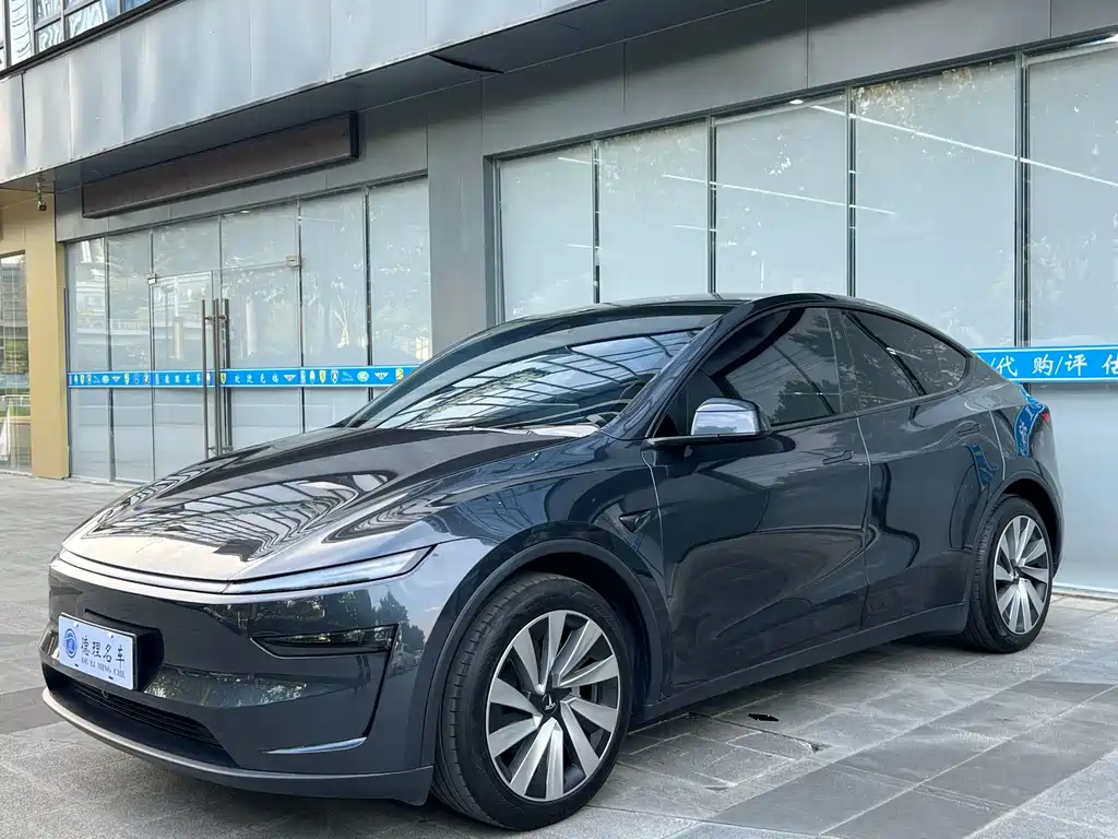 Tesla Model Y — миниатюра 2
