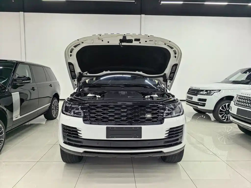 Land Rover Range Rover — миниатюра 15
