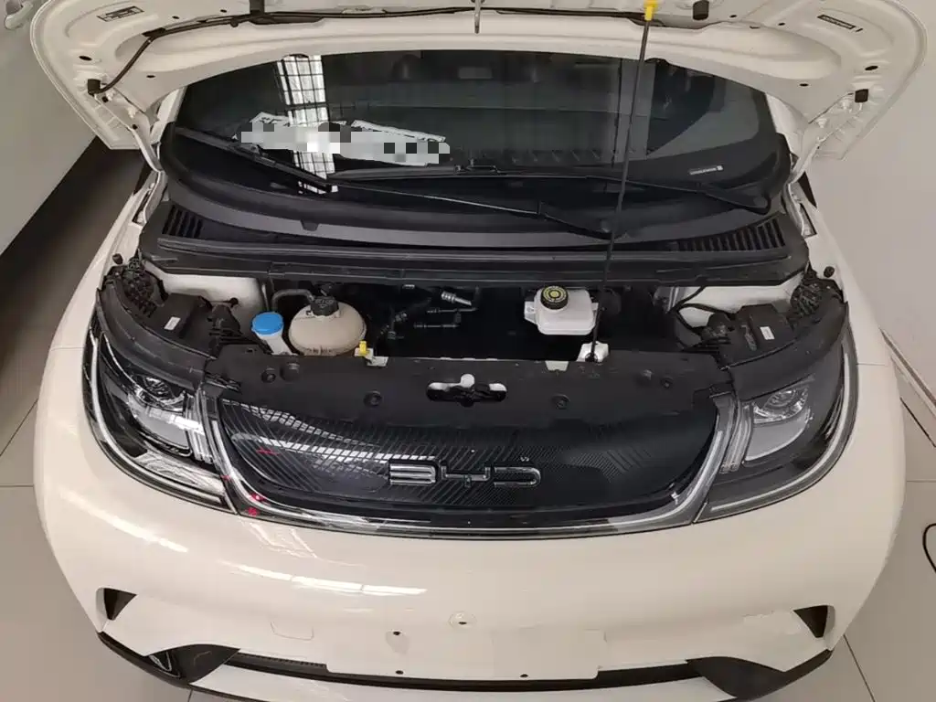 BYD Dolphin — миниатюра 20