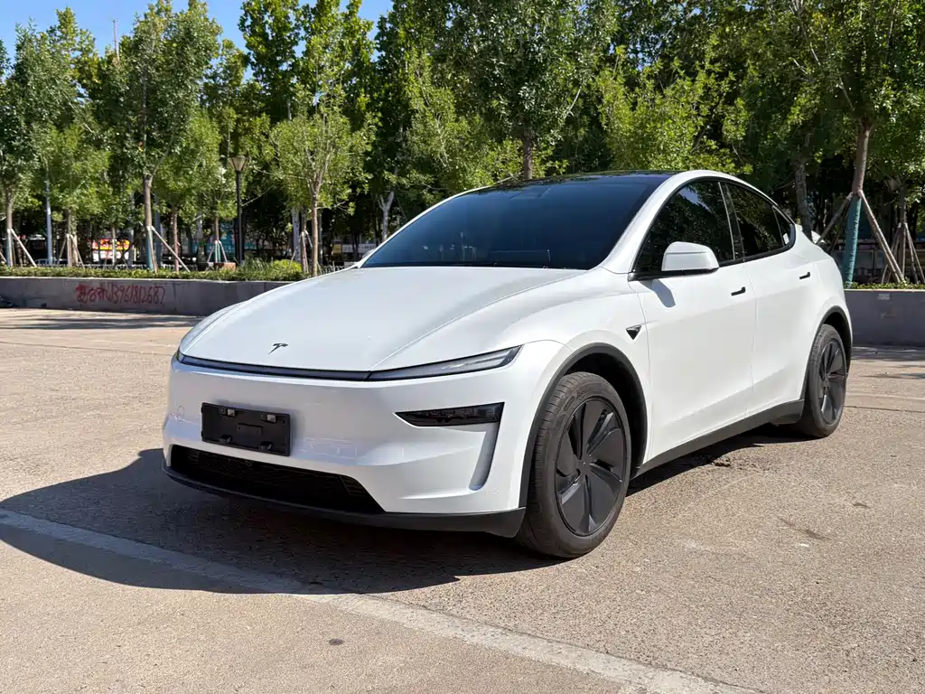 Tesla Model Y — миниатюра 2