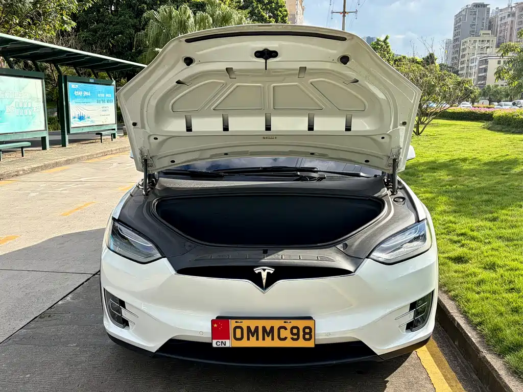Tesla Model X — миниатюра 25