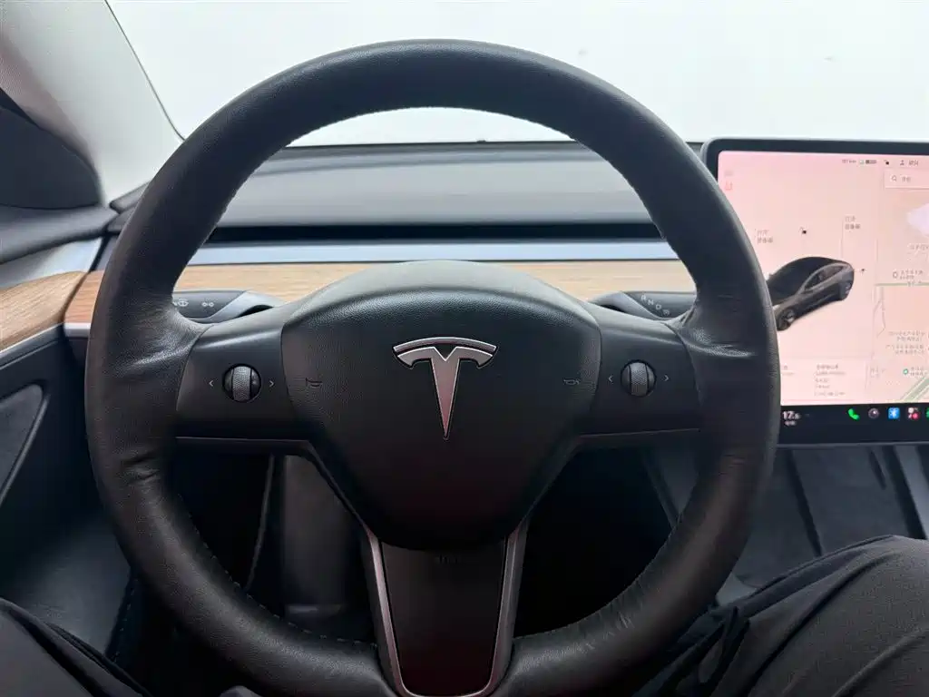 Tesla Model 3 — миниатюра 7