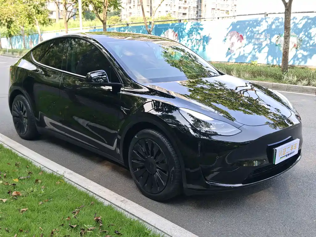 Tesla Model Y — миниатюра 4