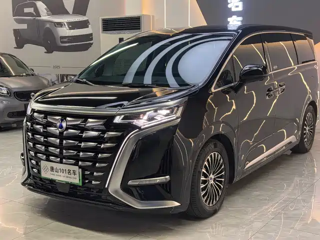 Denza D9