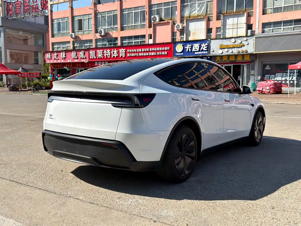Tesla Model Y — миниатюра 5