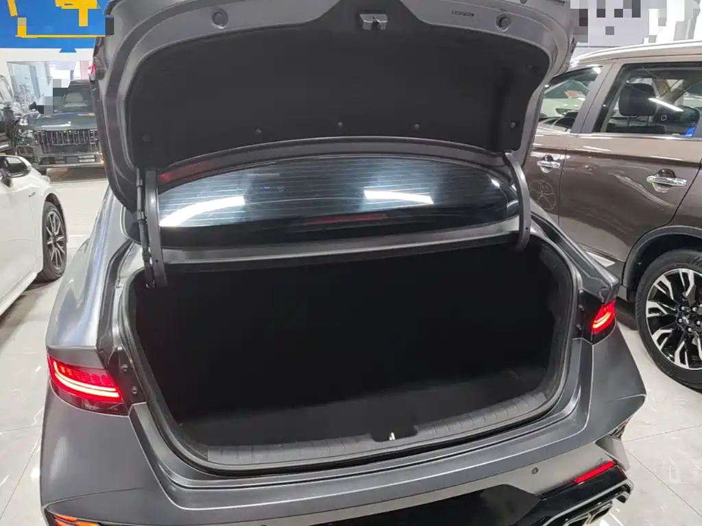 Hyundai Fista — миниатюра 19