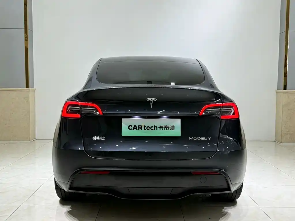 Tesla Model Y — миниатюра 17