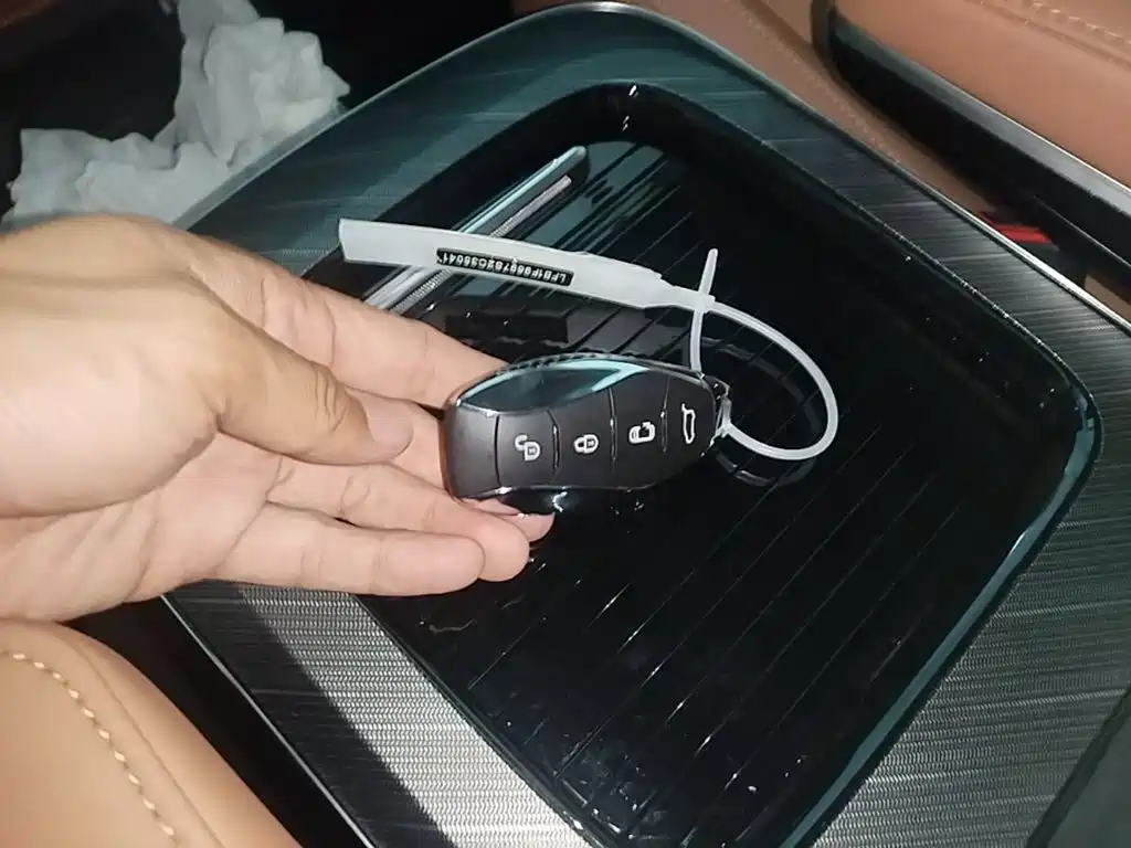 Hongqi HQ9 PHEV 2024 2.0T