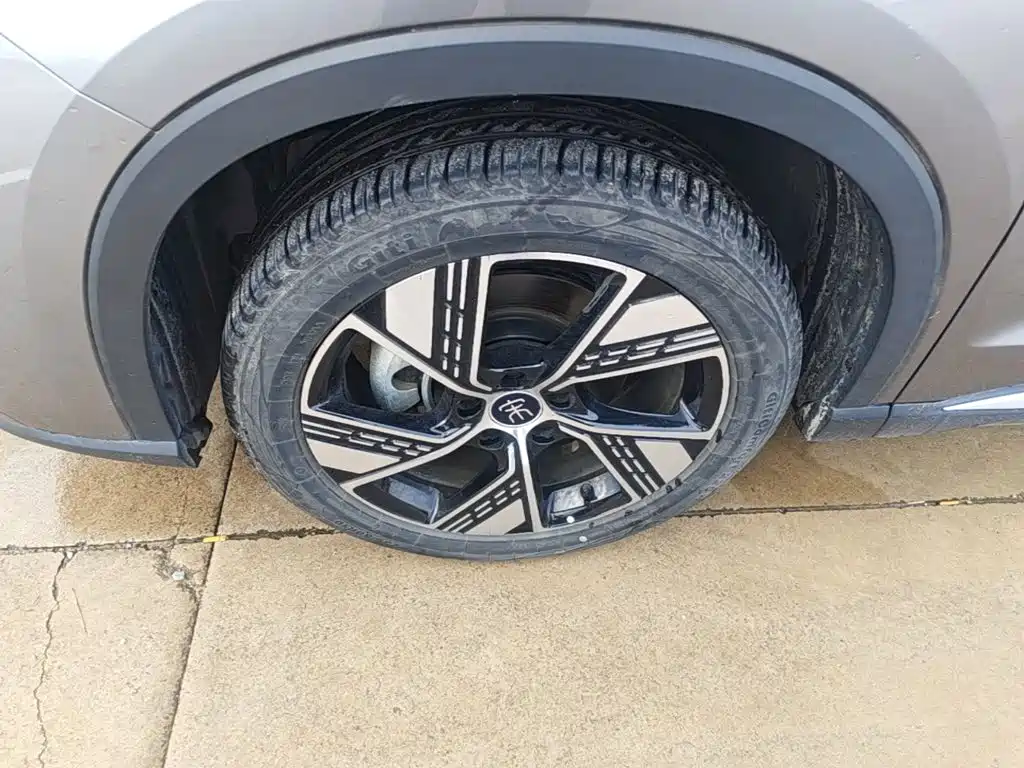 BYD Pro New Energy — миниатюра 23