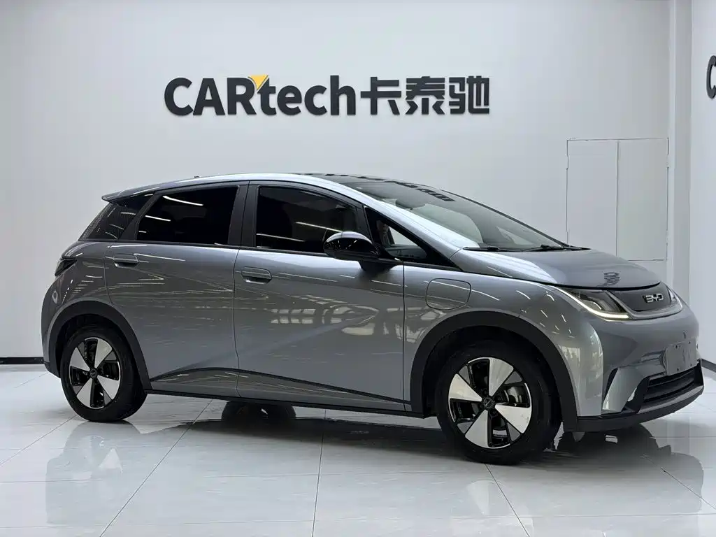 BYD Dolphin — миниатюра 3