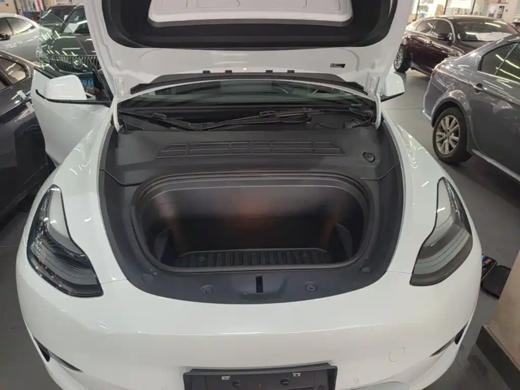 Tesla Model Y — миниатюра 20