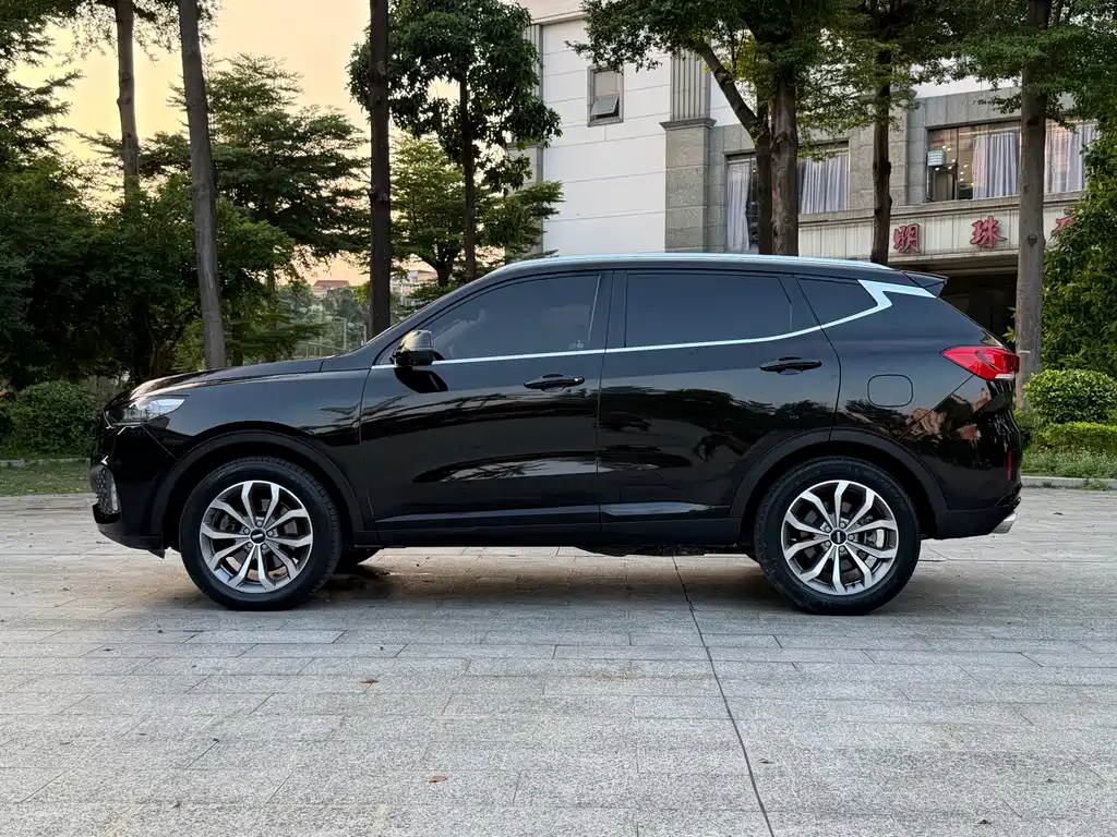 Wey Wey VV6 — миниатюра 4