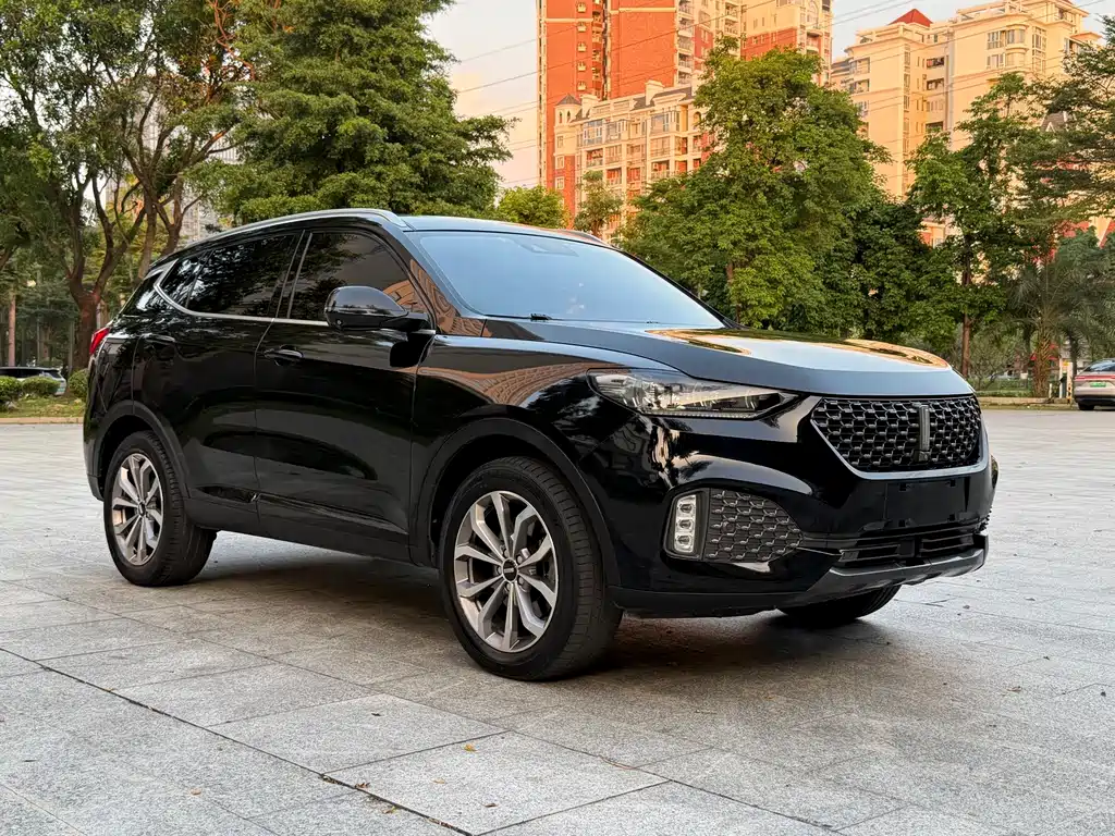 Wey Wey VV6 — миниатюра 3