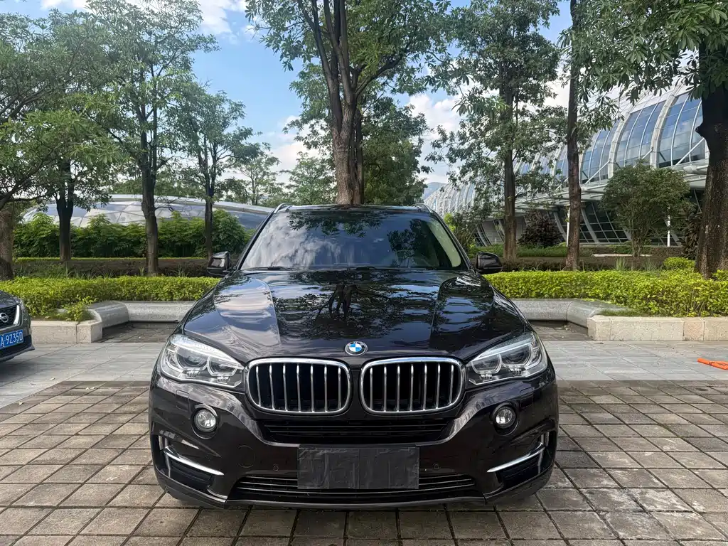 BMW X5 (Import) — миниатюра 2