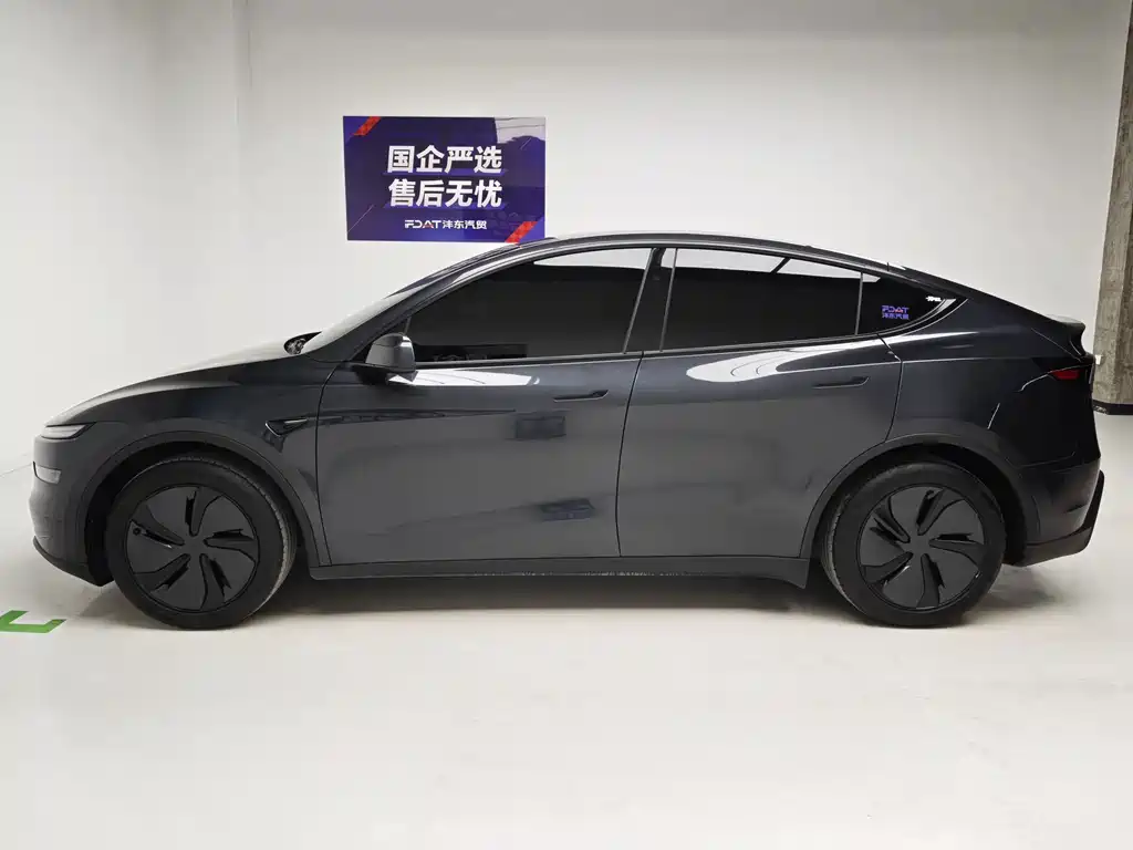Tesla Model Y — миниатюра 9