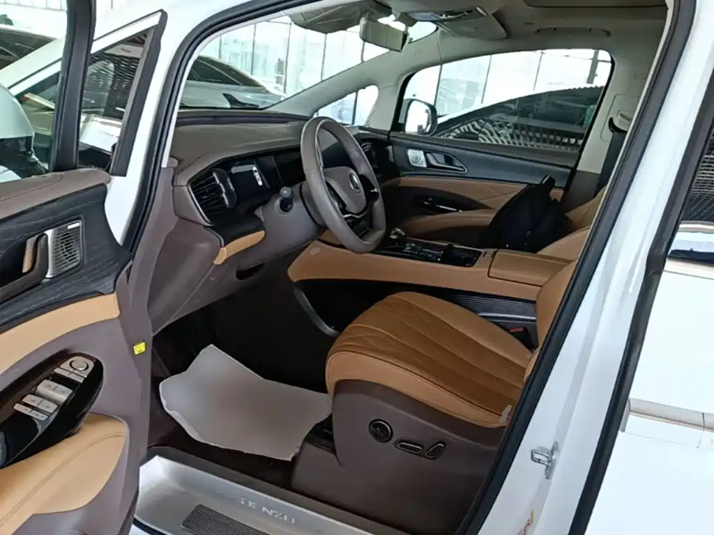 Denza Denza D9 — миниатюра 16