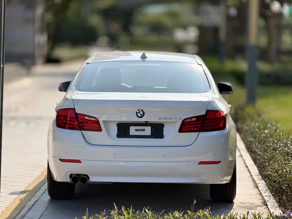 BMW 5 Series — миниатюра 5