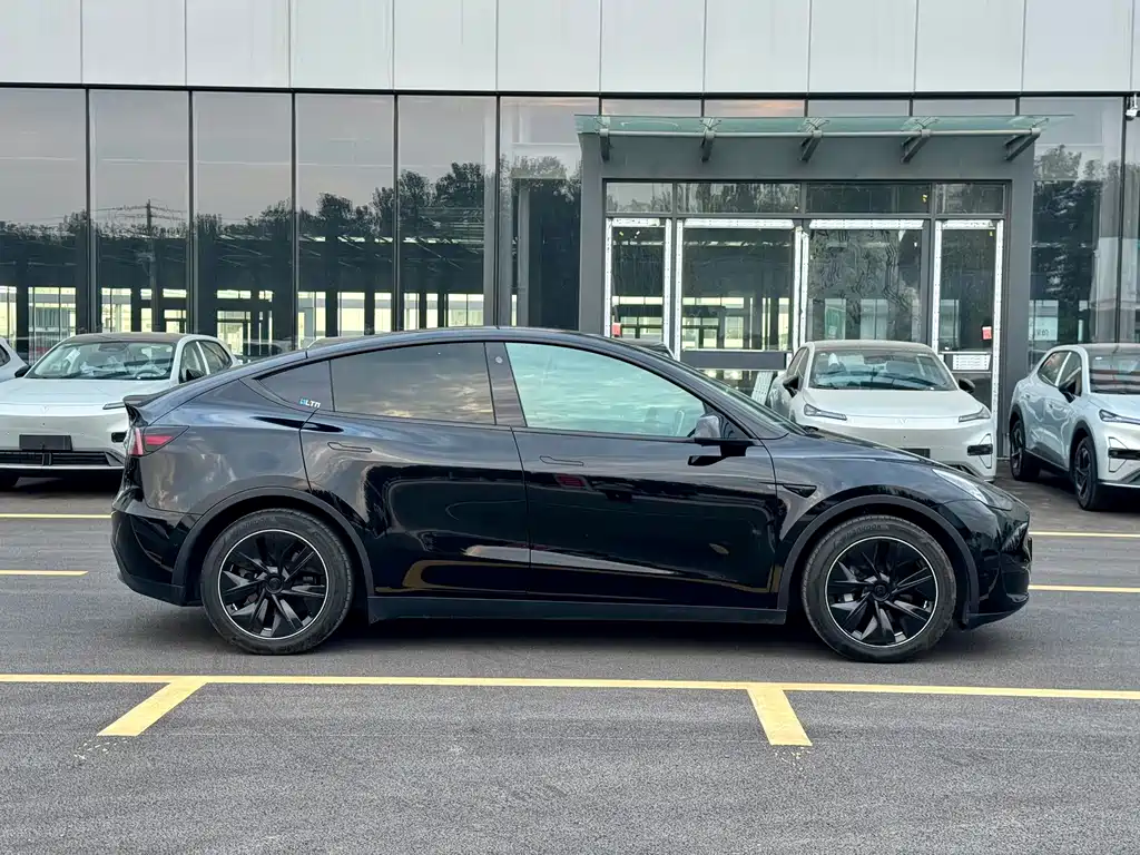 Tesla Model Y — миниатюра 7