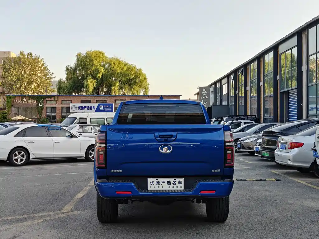 Great Wall Pao — миниатюра 7