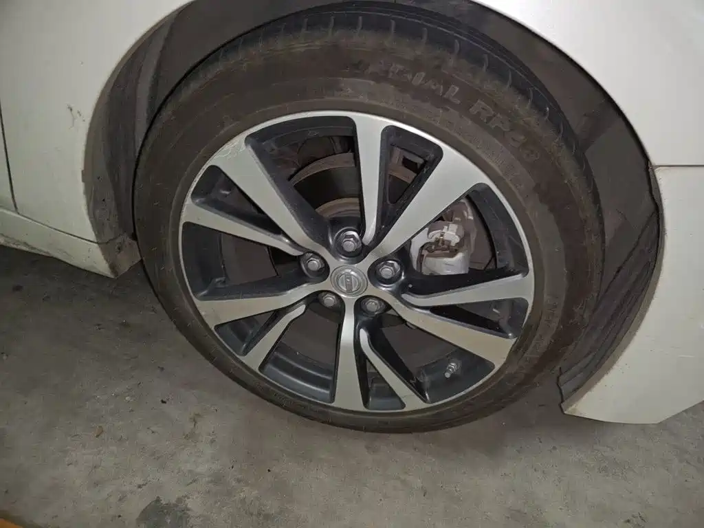 Nissan Cima — миниатюра 24
