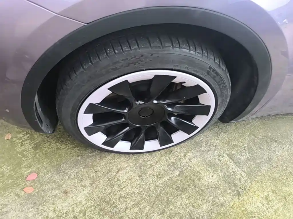 Tesla Model Y — миниатюра 23