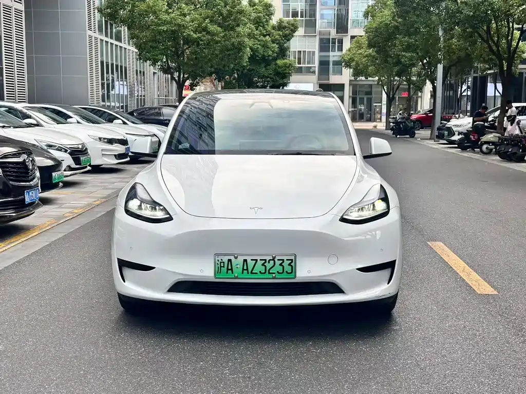 Tesla Model Y — миниатюра 2