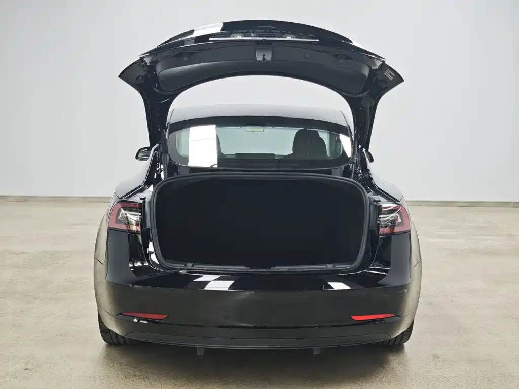 Tesla Model 3 — миниатюра 6