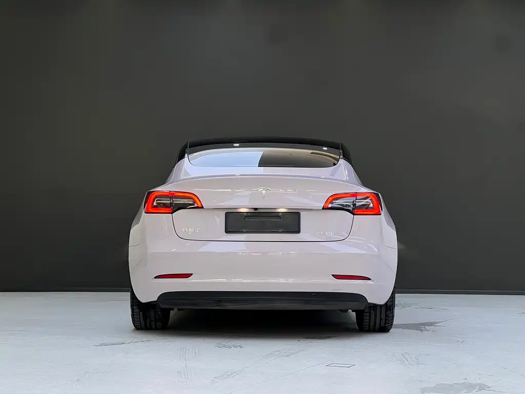 Tesla Model 3 — миниатюра 5