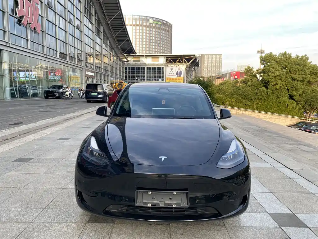 Tesla Model Y — миниатюра 2
