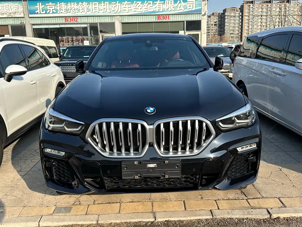 BMW X6